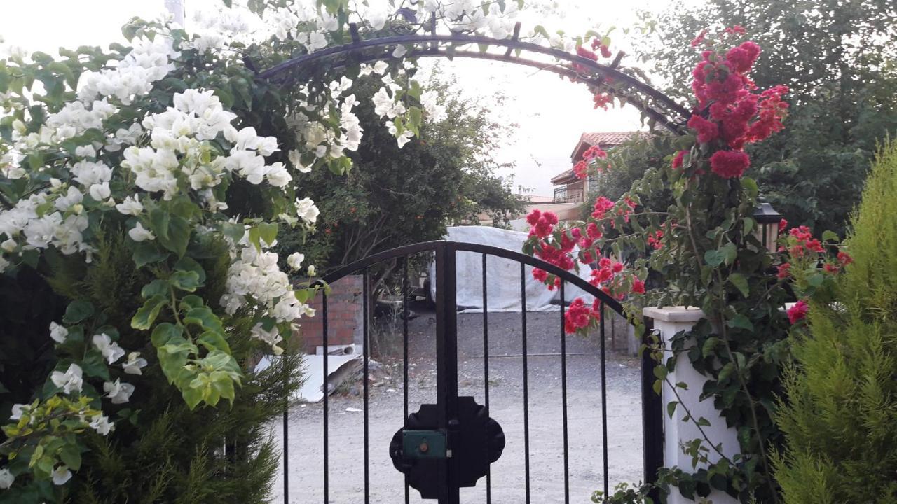 Villa Ebrar Dalyan Muğla Exteriör bild