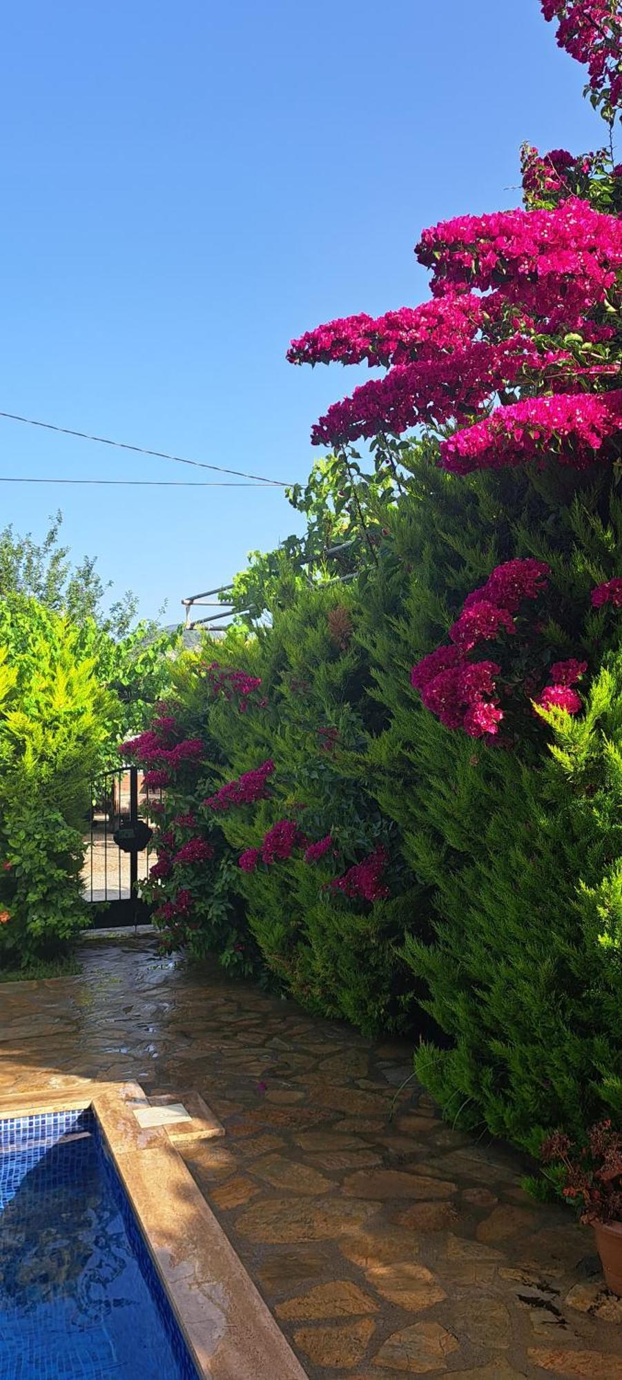 Villa Ebrar Dalyan Muğla Exteriör bild